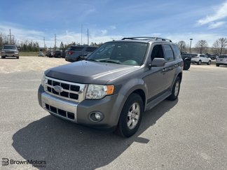 Used 2010 Ford Escape Limited image 1