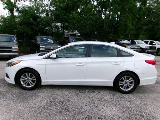 Used 2016 Hyundai Sonata SE image 1