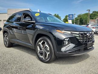 Used 2022 Hyundai Tucson Limited image 1