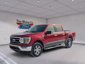 Certified 2021 Ford F150 XLT w/ Equipment Group 302A High image 1