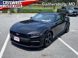 Used 2024 Ford Mustang Coupe image 1