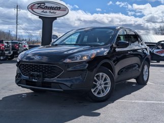 Used 2021 Ford Escape SE image 1