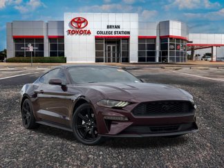 Used 2018 Ford Mustang Premium w/ Equipment Group 201A image 1