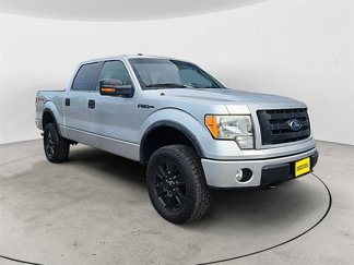 Used 2010 Ford F150 FX4 image 1