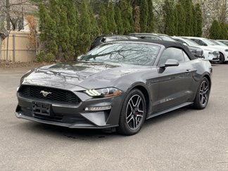 Used 2018 Ford Mustang Premium w/ Equipment Group 201A image 1