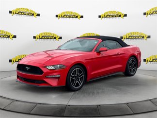 Certified 2022 Ford Mustang Premium image 1
