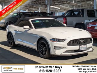 Used 2020 Ford Mustang Premium image 1