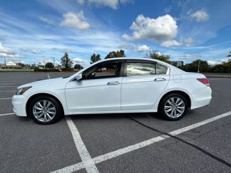 Used 2012 Honda Accord EX-L image 1