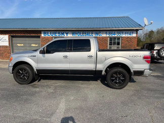 Used 2010 Ford F150 Platinum image 1