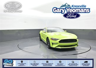 Used 2020 Ford Mustang Coupe w/ Equipment Group 101A image 1