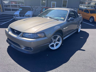 Used 2001 Ford Mustang Cobra image 1