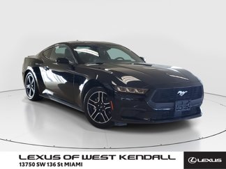 Used 2024 Ford Mustang Premium image 1