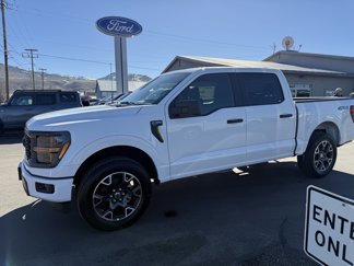 New 2025 Ford F150 STX image 1