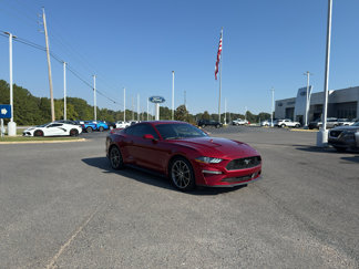 Certified 2019 Ford Mustang Coupe w/ Equipment Group 101A video 1