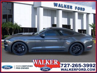 Certified 2019 Ford Mustang Premium w/ Equipment Group 201A video 1