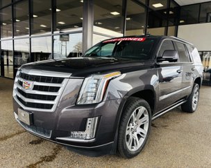 Used 2016 Cadillac Escalade Premium image 1