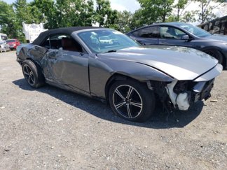 Used 2024 Ford Mustang Premium image 1