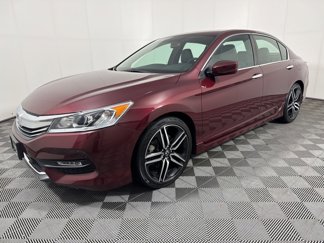 Used 2017 Honda Accord Sport Special Edition image 1