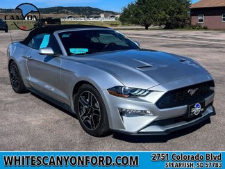 Used 2019 Ford Mustang Premium image 1