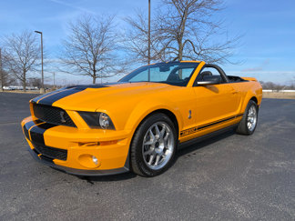 Used 2008 Ford Mustang Shelby GT500 image 1