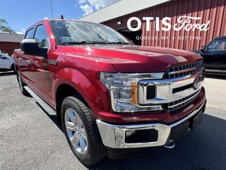 Certified 2019 Ford F150 XLT w/ Equipment Group 302A Luxury image 1