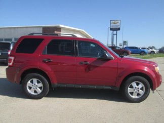 Used 2011 Ford Escape XLT w/ Convenience Group image 1
