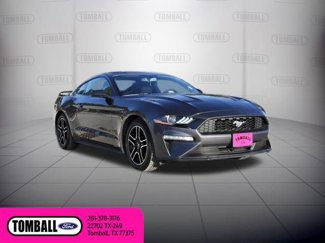 Used 2020 Ford Mustang Coupe w/ Equipment Group 101A image 1