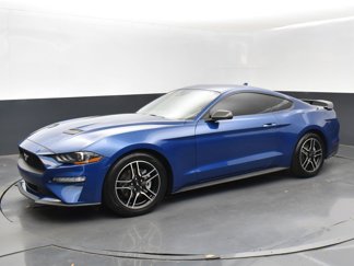 Used 2022 Ford Mustang Coupe w/ Equipment Group 101A image 1