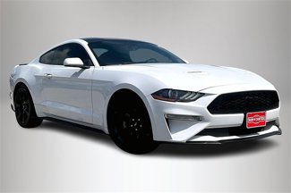 Used 2019 Ford Mustang Coupe w/ Black Accent Package image 1