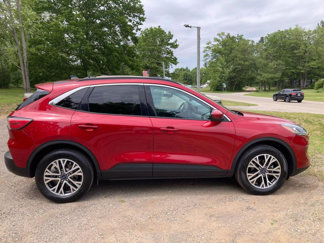 Used 2021 Ford Escape SEL image 1
