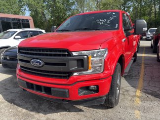 Used 2019 Ford F150 XLT w/ Equipment Group 302A Luxury image 1
