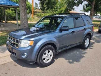 Used 2010 Ford Escape XLT w/ 204A Rapid Spec Order Code image 1