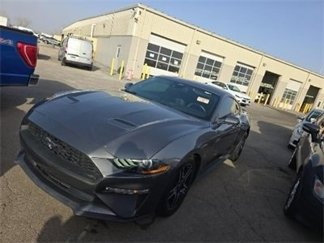 Used 2021 Ford Mustang Coupe w/ Equipment Group 101A image 1