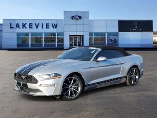 Used 2019 Ford Mustang Premium w/ Equipment Group 201A image 1