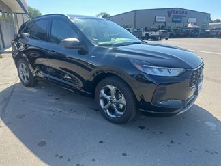 Used 2024 Ford Escape ST-Line image 1