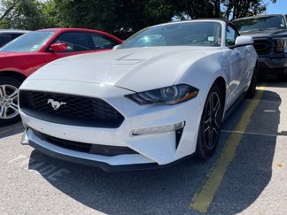 Used 2022 Ford Mustang Premium image 1