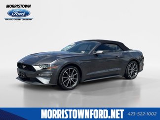 Certified 2019 Ford Mustang Premium w/ Equipment Group 201A image 1