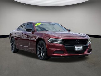 Used 2021 Dodge Charger SXT w/ Blacktop Package image 1