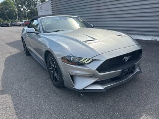 Used 2022 Ford Mustang Premium image 1