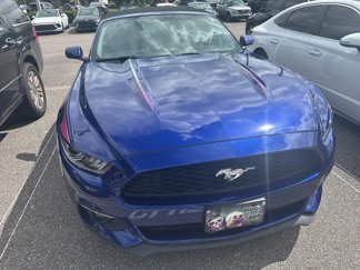 Used 2016 Ford Mustang Premium w/ Ecoboost Performance Package image 1