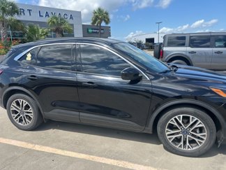 Used 2020 Ford Escape SEL image 1