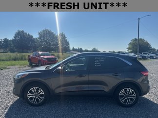 Used 2020 Ford Escape SEL image 1