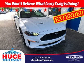 Used 2019 Ford Mustang Premium image 1