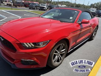 Used 2017 Ford Mustang Premium image 1