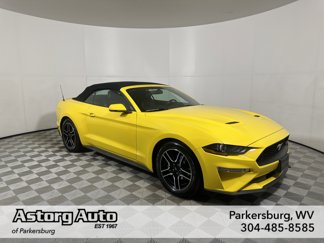 Used 2018 Ford Mustang Premium w/ Equipment Group 201A image 1
