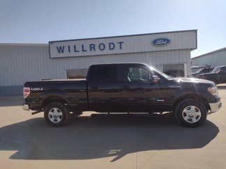 Used 2012 Ford F150 XLT w/ XLT Convenience Pkg image 1