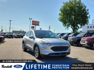 Used 2022 Ford Escape SEL image 1