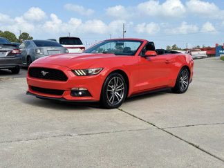Used 2016 Ford Mustang Premium w/ Equipment Group 201A image 1