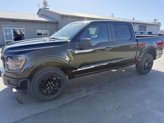 New 2025 Ford F150 STX image 1