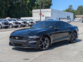 Used 2019 Ford Mustang Coupe image 1